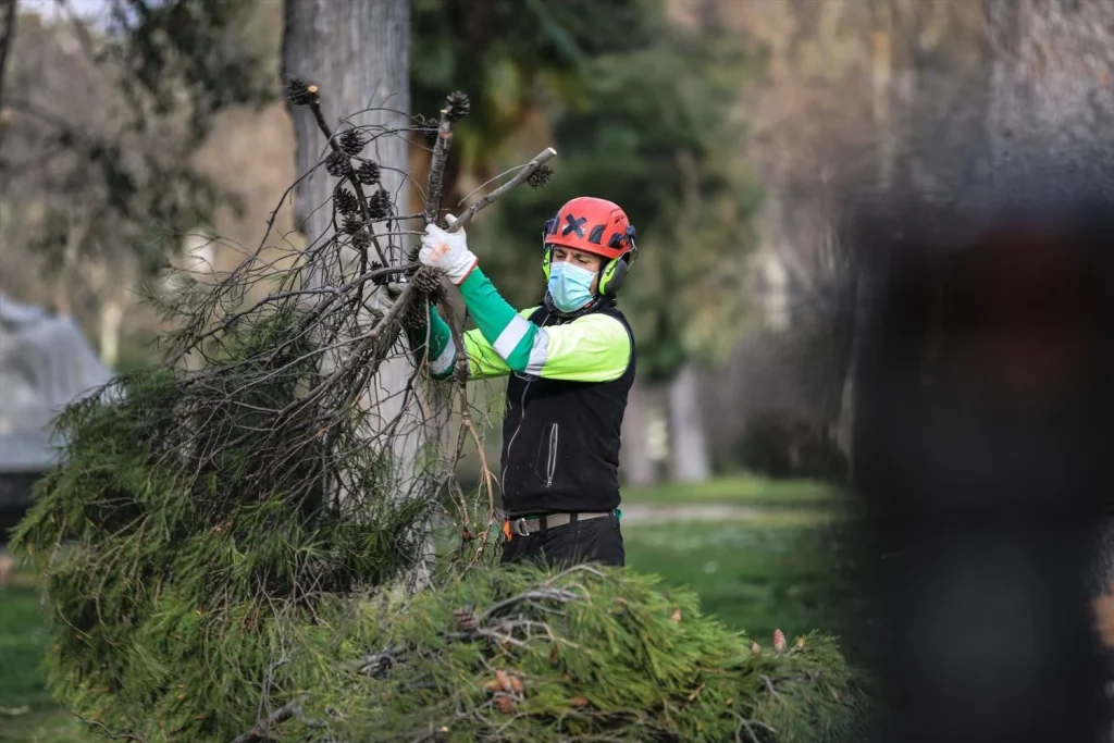 Un operario realiza trabajos con árboles caídos en El Retiro de Madrid