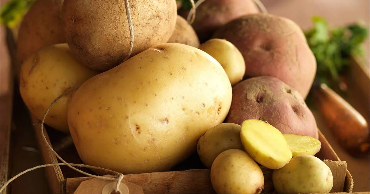 Doble beneficio para tu cuerpo: este poderoso alimento controla tu azúcar y moldea tu cintura Doble beneficio para tu cuerpo: este poderoso alimento controla tu azúcar y moldea tu cintura