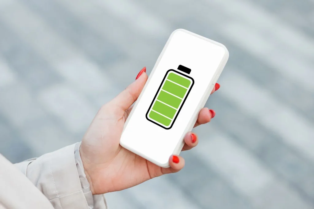 EL PATRÓN DE CARGA IDEAL: MITOS Y REALIDADES