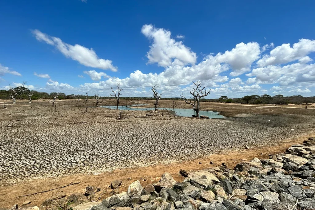 La AEMET y la NASA coinciden: Estas ciudades españolas desaparecerán en 30 años 140 AEMET Y NASA ADVIERTEN DE UN CAMBIO CLIMÁTICO INMINENTE