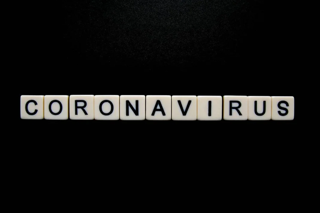 EL COVID SURGIÓ VARIOS AÑOS ANTES DE LA PANDEMIA