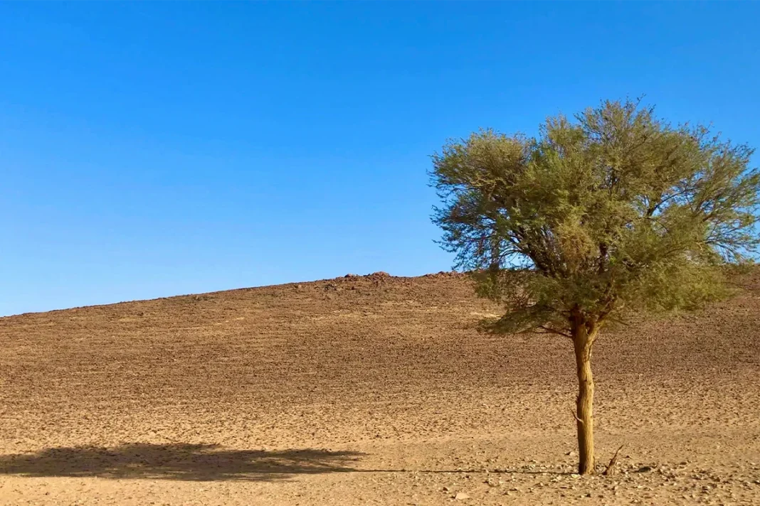 LA AEMET RESPALDA LAS PREVISIONES DE LA NASA