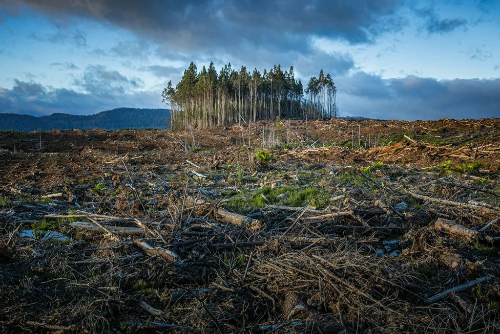 La AEMET y la NASA coinciden: Estas ciudades españolas desaparecerán en 30 años 143 LA NASA ADVIERTE DE UN PROBLEMA A NIVEL GLOBAL