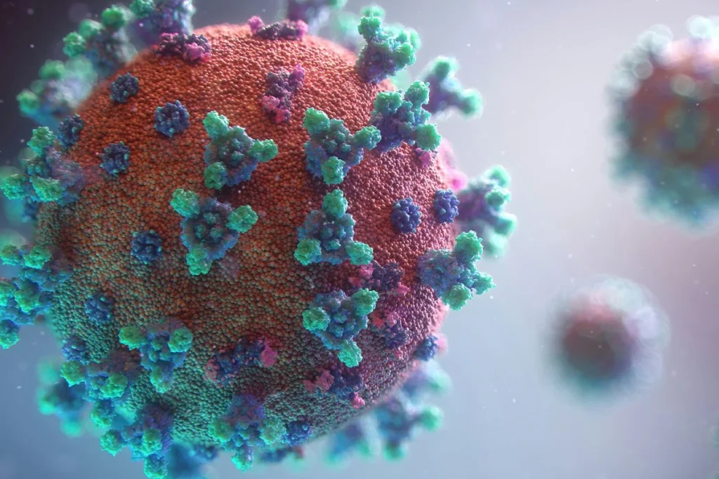 LOS MURCIÉLAGOS NO LLEVARON EL COVID POR SÍ SOLOS