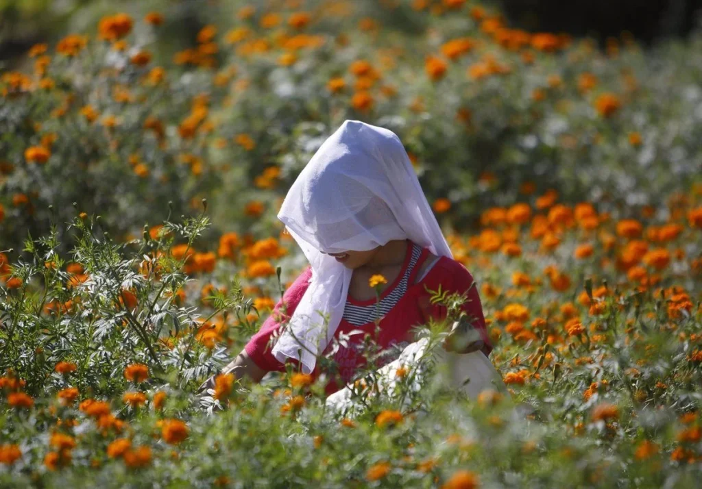 La salud mental, el gran reto del sistema sanitario