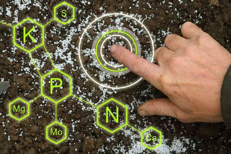 Cómo elegir un biofertilizante eficaz; claves para no perder dinero ni productividad en el campo