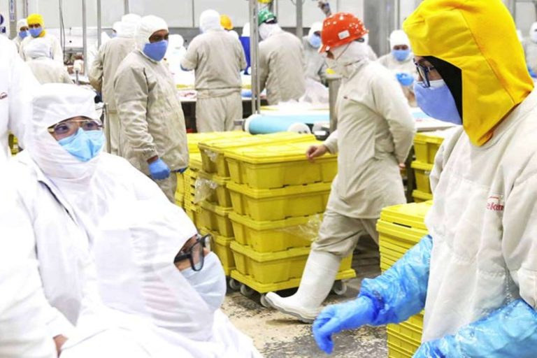 Kekén impulsa la inclusión laboral en Yucatán con un programa que ya cumple cuatro años