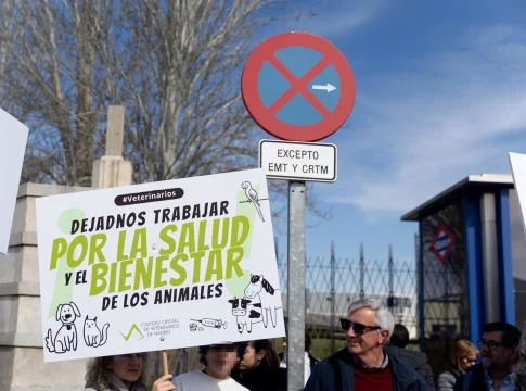 manifestacion colvema veterinarios real decreto animal medicamentos manifestacion colvema veterinarios real decreto animal medicamentos