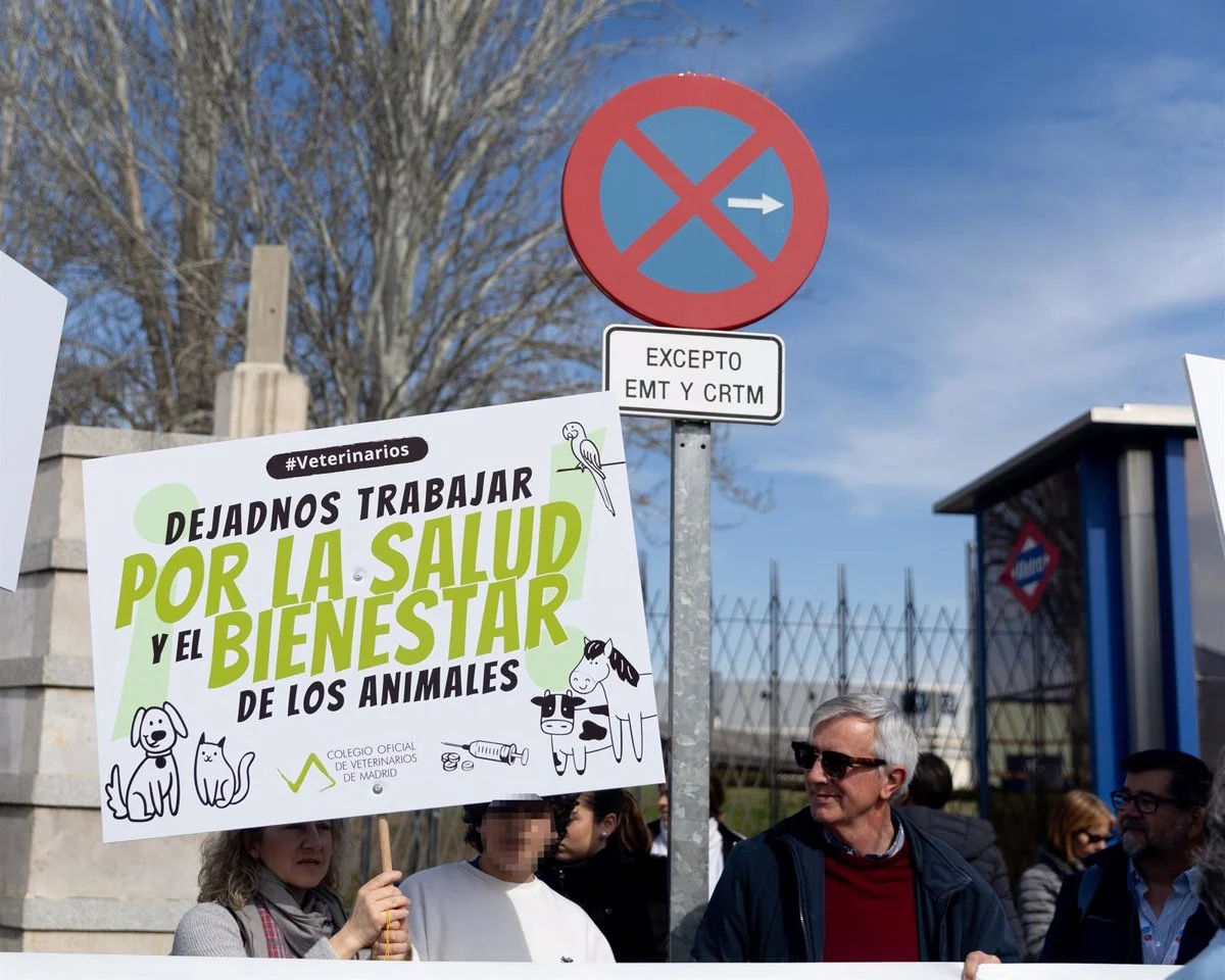 manifestacion colvema veterinarios real decreto animal medicamentos manifestacion colvema veterinarios real decreto animal medicamentos