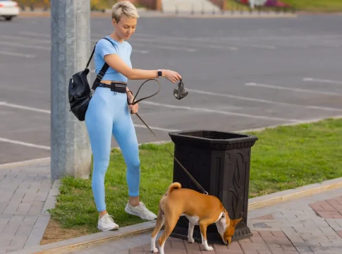 personas-que-trabajan-como-cuidador-de-perros-nina-con-perro-caniche-frances-en-el-parque-la-joven-hispana-recoge-la-caca-de-su-mascota-con-una-bolsa-de-plastico