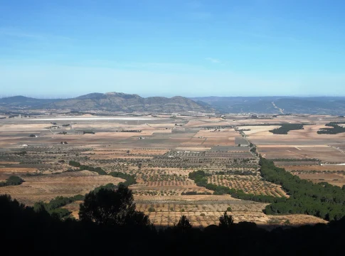 La 'Toscana valenciana' te espera: Un paisaje de viñedos y pueblos con encanto a un paso de la ciudad La 'Toscana valenciana' te espera: Un paisaje de viñedos y pueblos con encanto a un paso de la ciudad