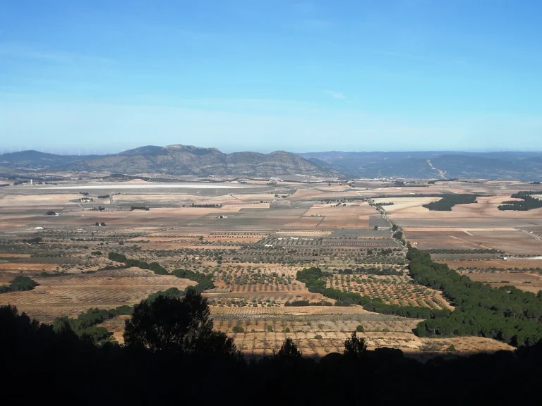 La 'Toscana valenciana' te espera: Un paisaje de viñedos y pueblos con encanto a un paso de la ciudad