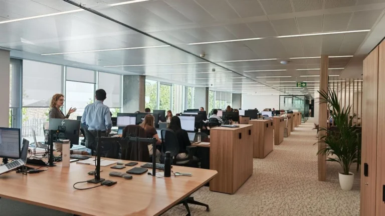 Hafesa estrena nueva sede corporativa para continuar con su crecimiento