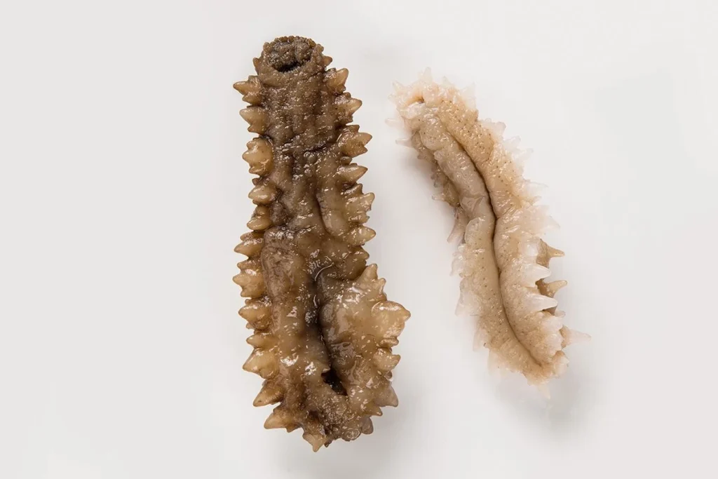 AGENTES ANTICANCERÍGENOS