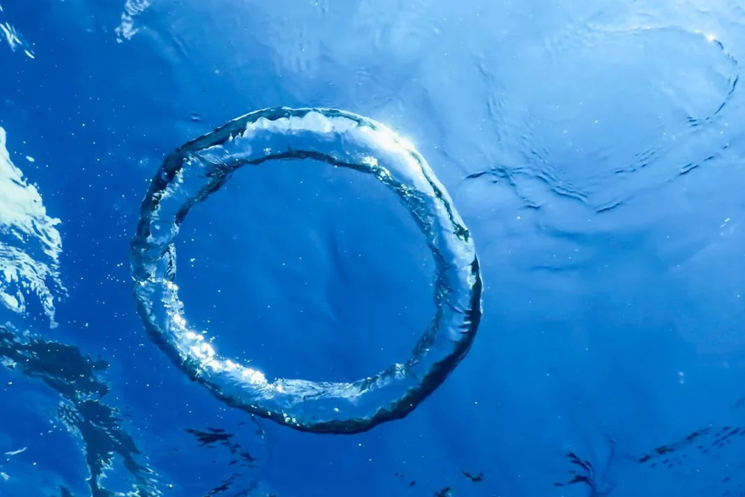 ANILLOS DE BURBUJAS EN EL MAR
