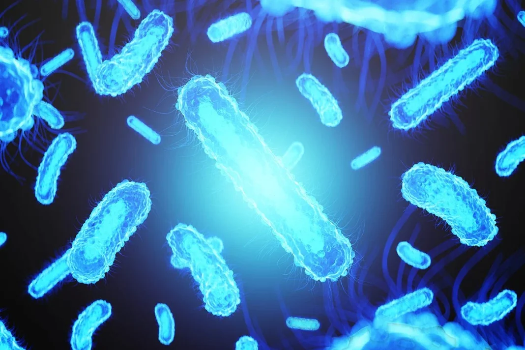 BACTERIAS ADAPTADAS A ESTE METABOLISMO