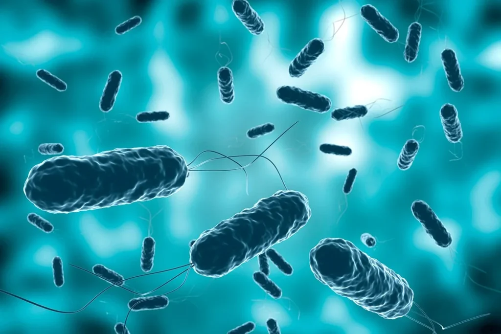 BACTERIAS QUE PREFIEREN LA RESPIRACIÓN ELÉCTRICA