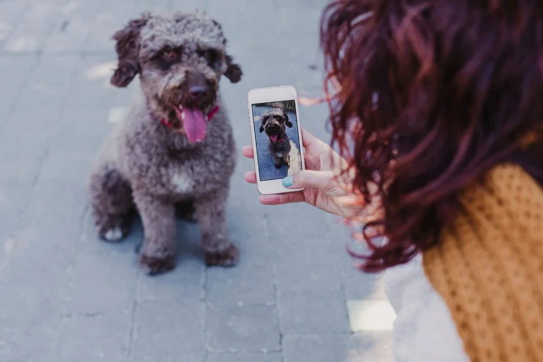 CÓMO COMPORTARSE EN ESTAS VIDEOLLAMADAS