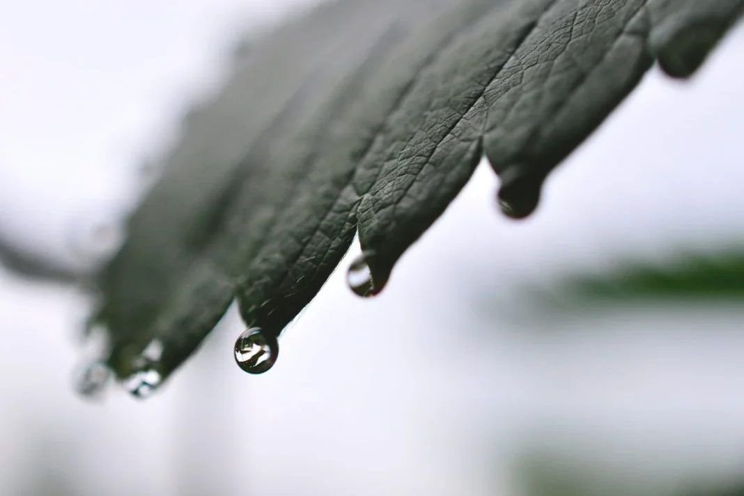 CÓMO FUNCIONA LA TECNOLOGÍA QUE GENERA ELECTRICIDAD A PARTIR DE LA LLUVIA