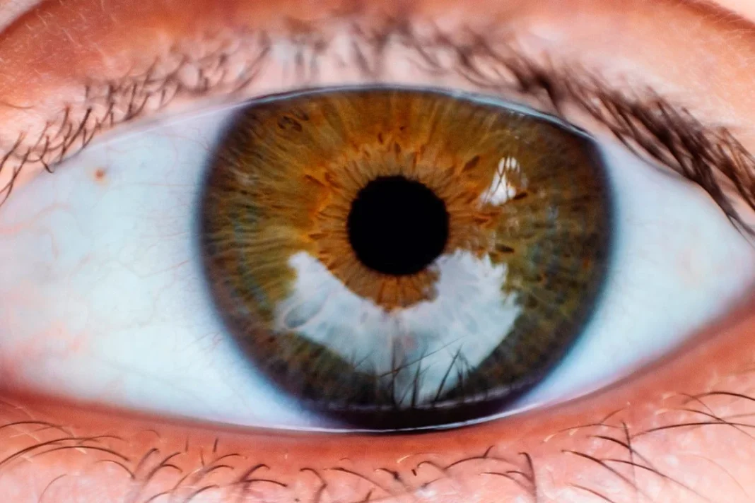 CÓMO PREVENIR LOS PROBLEMAS DE VISTA