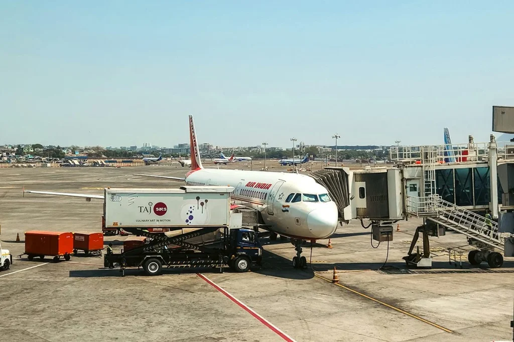 CÓMO SOBREVIVIÓ AL ACCIDENTE DE AIR INDIA