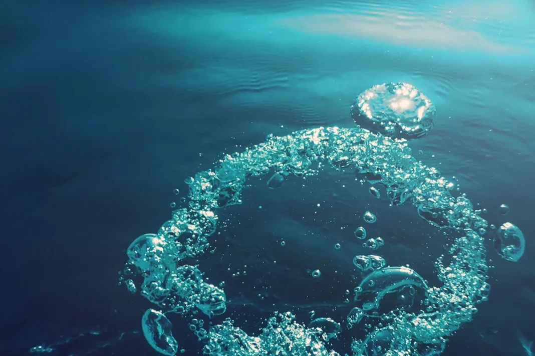 COMUNICACIÓN NO VERBAL A TRAVÉS DEL MAR