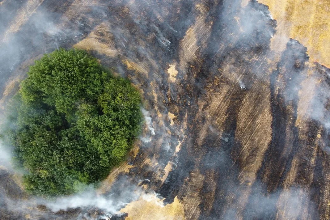 CONSECUENCIAS DE ESTA MEDIDA CONTRA EL CAMBIO CLIMÁTICO