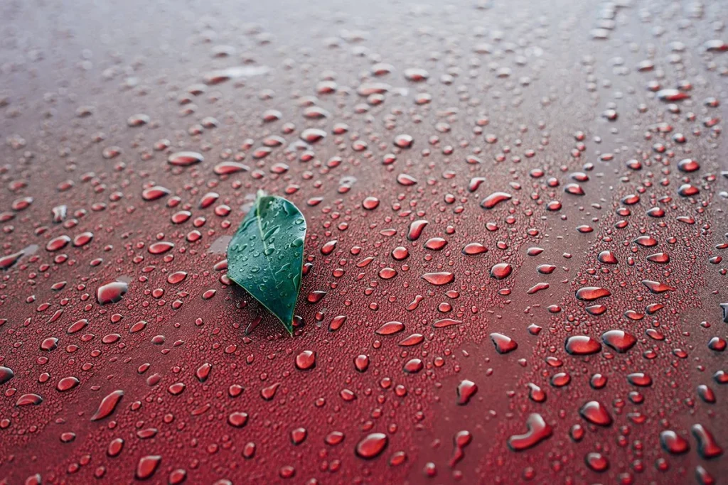 EFICIENCIA DE CONVERSIÓN DE LA ENERGÍA DE LA LLUVIA