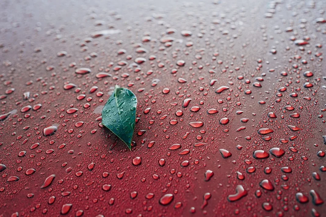 EFICIENCIA DE CONVERSIÓN DE LA ENERGÍA DE LA LLUVIA