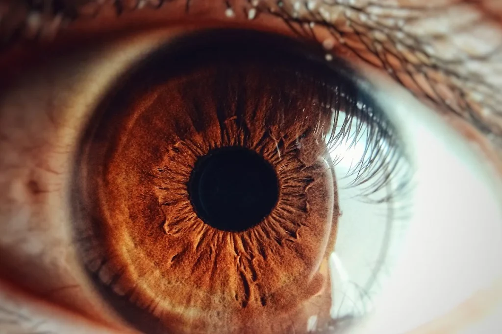 EL HÁNDICAP DE ESTA SOLUCIÓN PARA LA VISTA