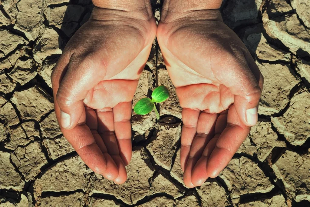 EL IMPACTO DEL CAMBIO CLIMÁTICO SEGÚN LA CIA