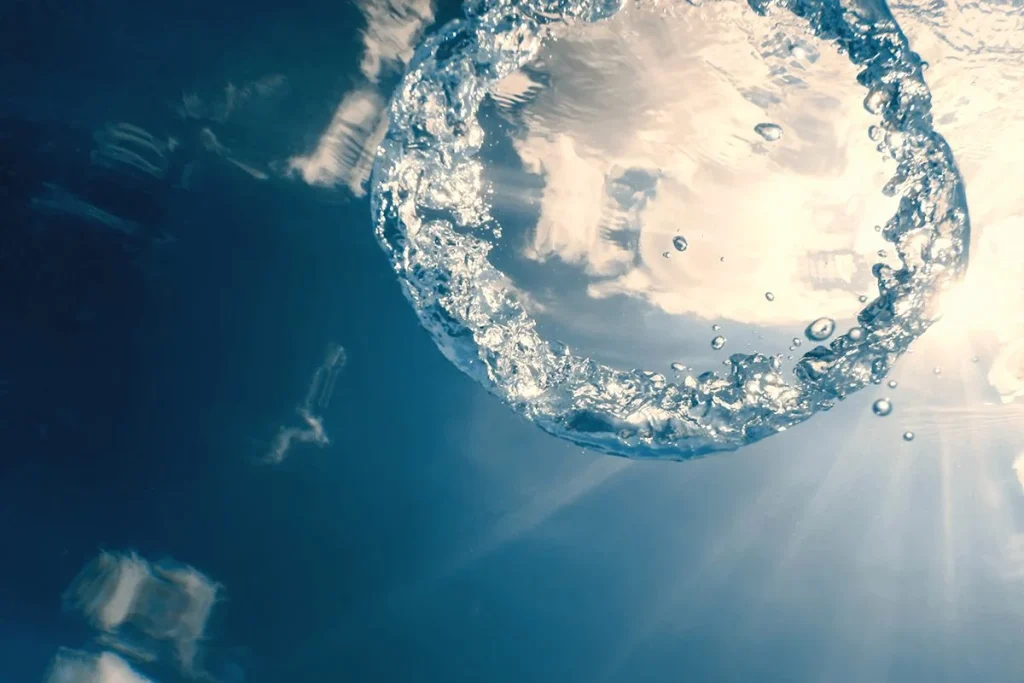 EN BUSCA DE CONCLUSIONES SOBRE ESTOS ANILLOS EN EL MAR