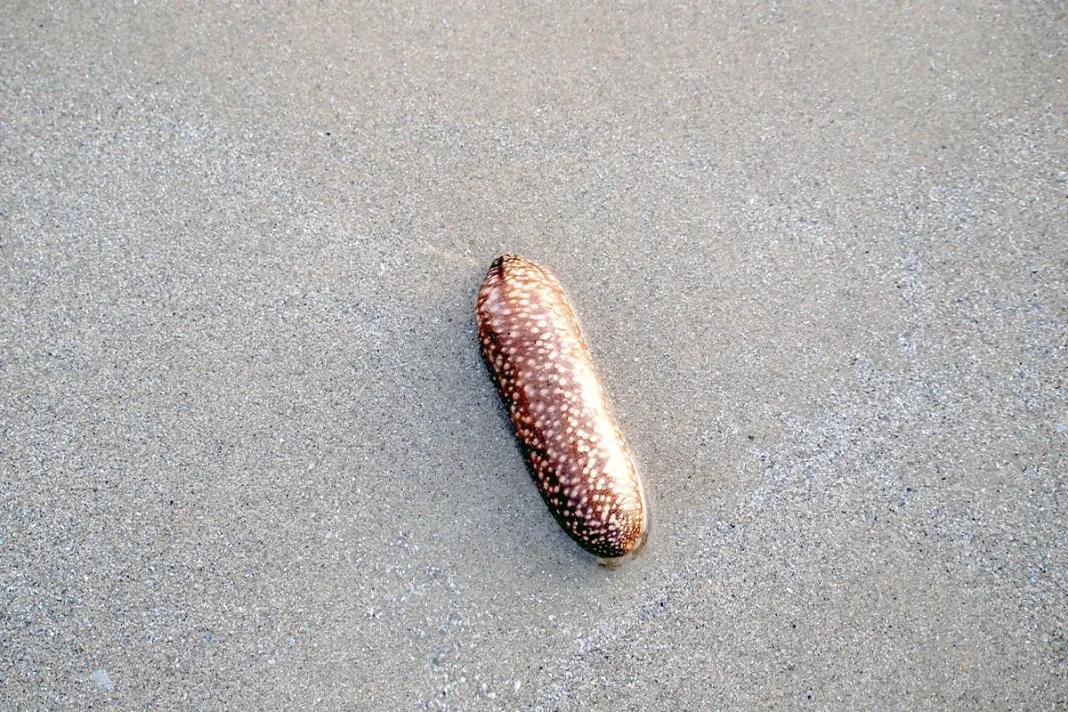 EN BUSCA DEL TRATAMIENTO DEL CÁNCER