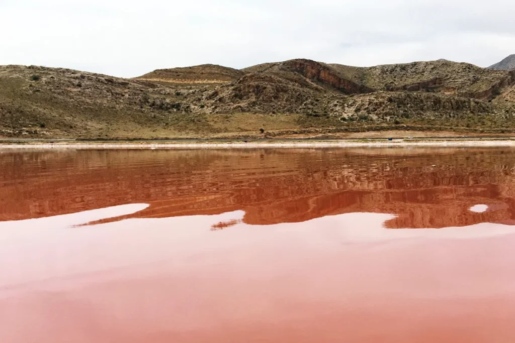 ESPECIES MOMIFICADAS ALREDEDOR DEL LÁGO AFRICANO