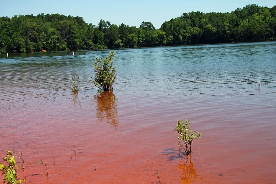 ESTE LAGO ROJO DE ÁFRICA ES UN REFUGIO PARA LOS FLAMENCOS