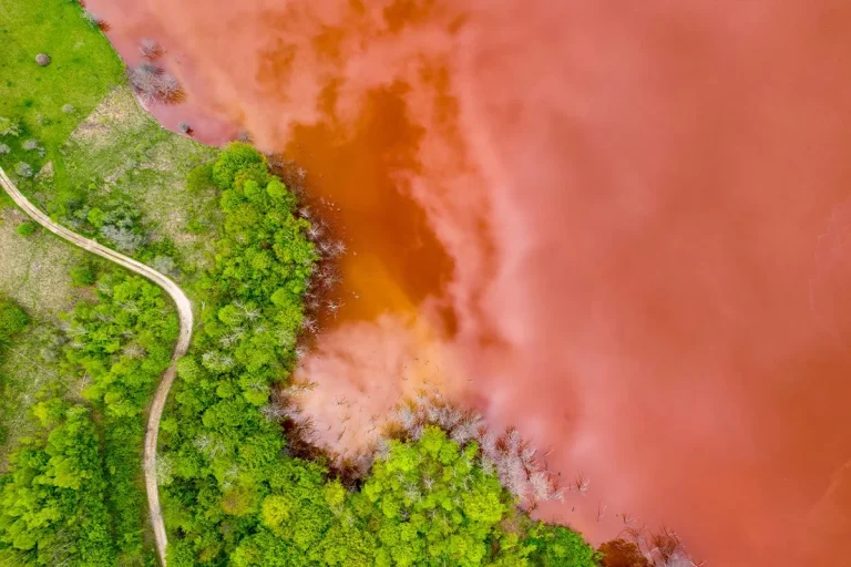 Este increíble lago rojo de África convierte a los animales en 'piedra' y este es el motivo