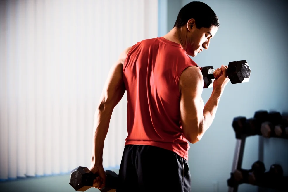 Factores clave para elegir la mejor proteina para ti