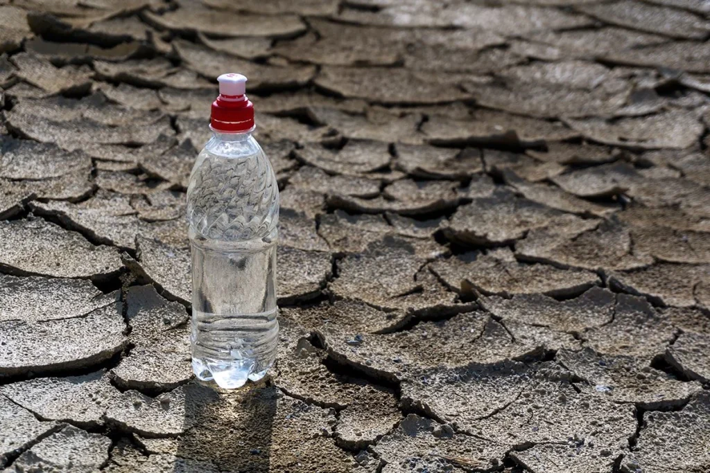 GRAN EFICIENCIA DE ESTE DISPOSITIVO PARA RECOLECTAR AGUA