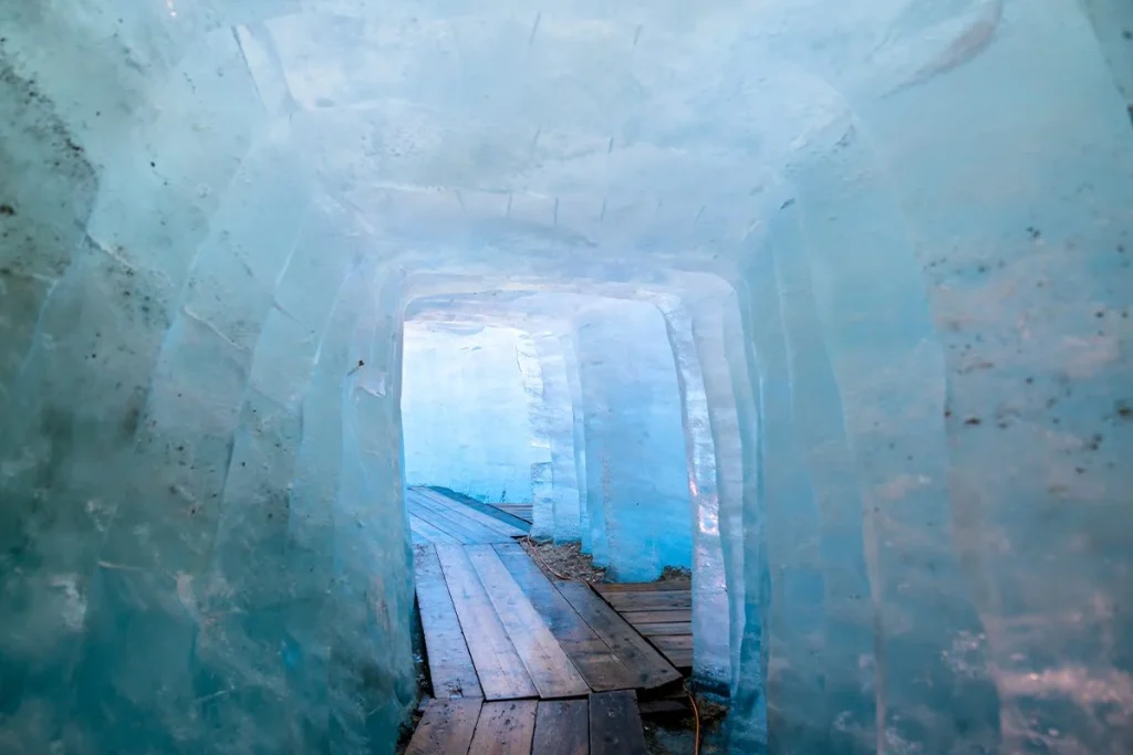 HALLAN UN MUNDO PERDIDO EN LA ANTÁRTIDA