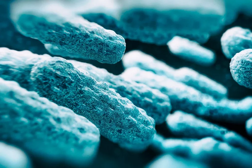 IMPLICACIONES DE ESTE HALLAZGO DEL METABOLISMO DE LAS BACTERIAS