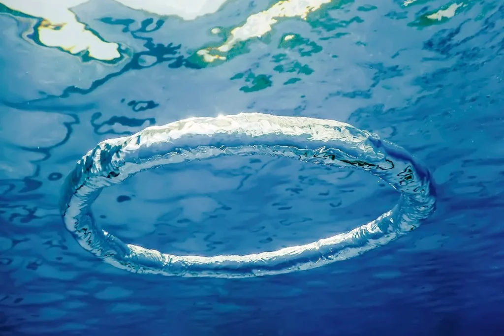 IMPRESIONANTES ESTRUCTURAS DE BURBUJAS EN EL MAR