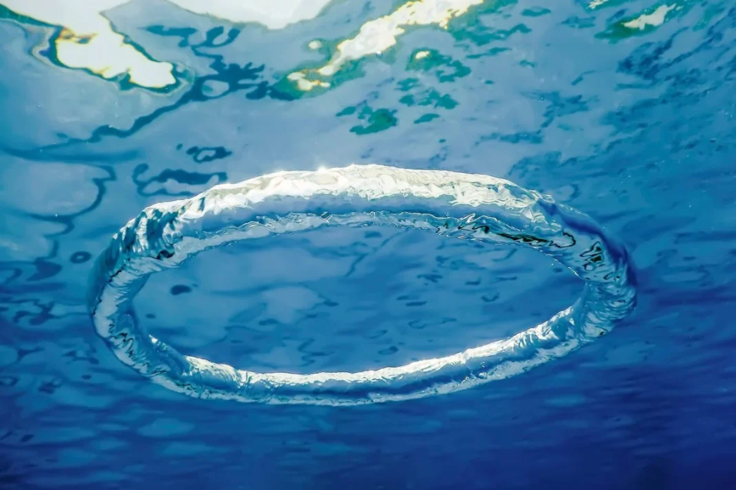 IMPRESIONANTES ESTRUCTURAS DE BURBUJAS EN EL MAR