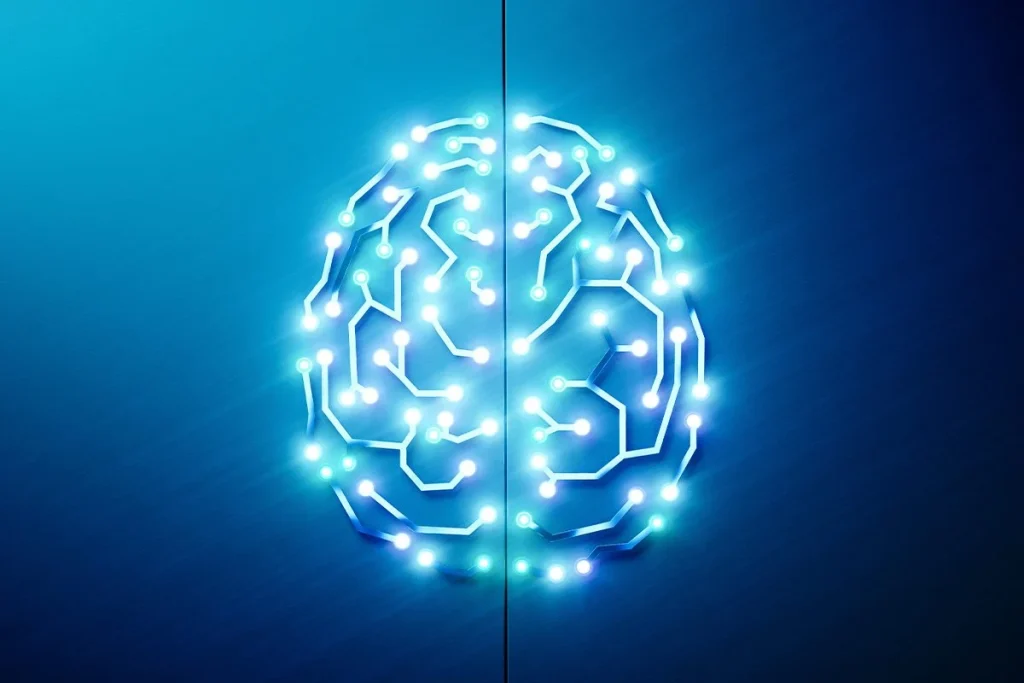 INFORMACIÓN VALIOSA SOBRE EL CEREBRO