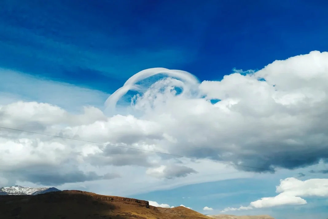 LA CIENCIA RESPONDE AL ORIGEN DE LOS ANILLOS NEGROS