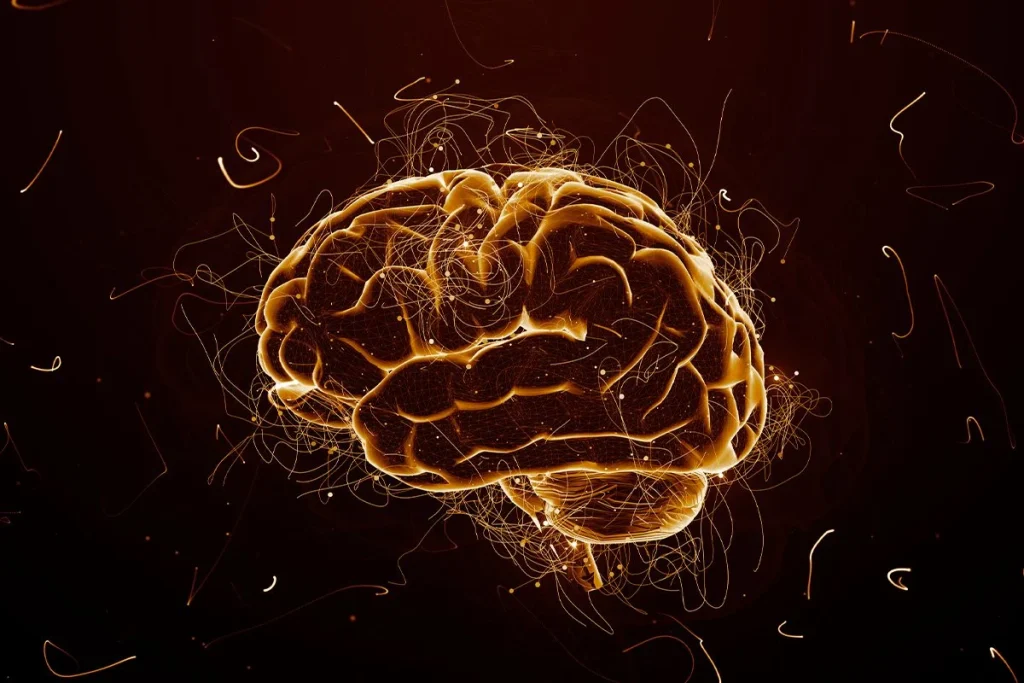 LA 'FIRMA LUMINOSA' DEL CEREBRO