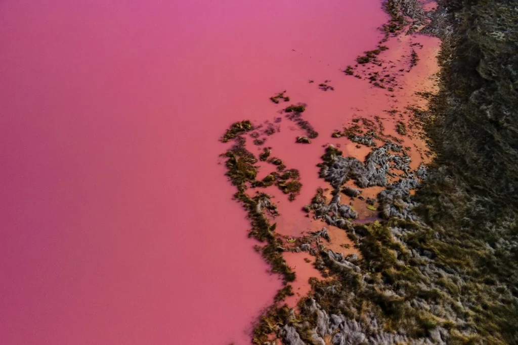 LA POPULARIDAD DE ESTE LOGO ROJO AFRICANO