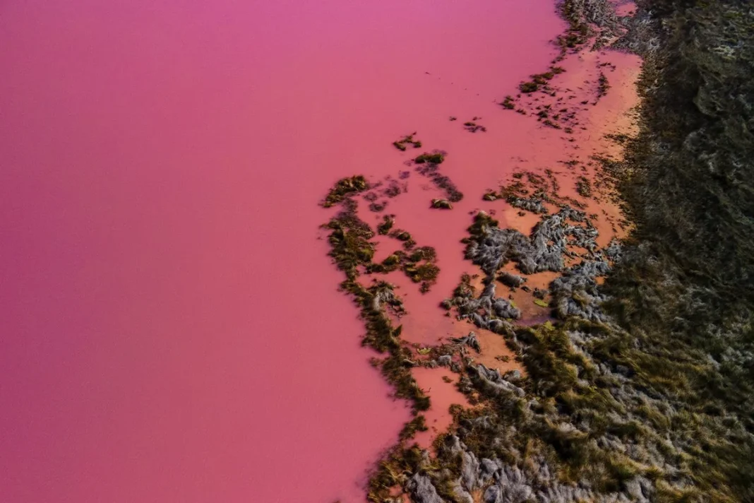 LA POPULARIDAD DE ESTE LOGO ROJO AFRICANO