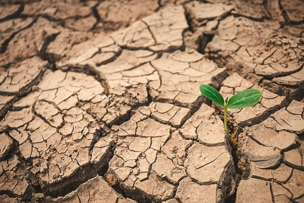 LA VIDA EN LA TIERRA SERÁ IMPOSIBLE