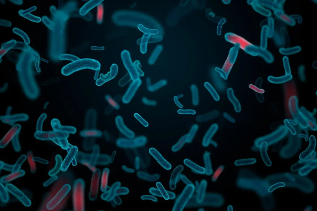 LAS BACTERIAS QUE SORPRENDEN A LOS CIENTÍFICOS