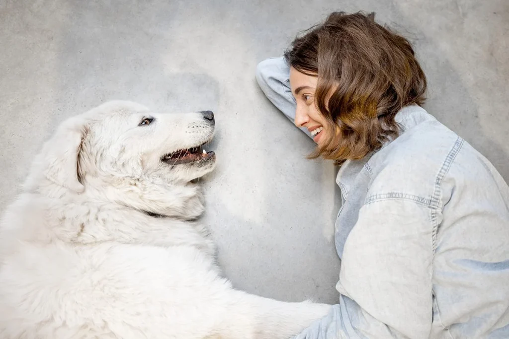 LAS COINCIDENCIAS ENTRE PERROS Y MASCOTAS VAN MÁS ALLÁ DEL ASPECTO FÍSICO